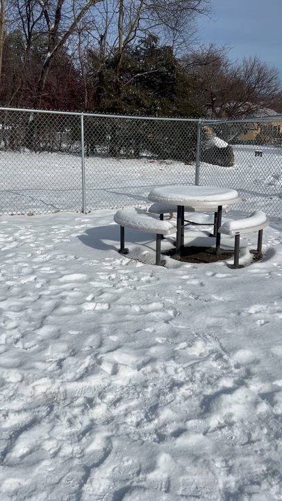 Enlarge Luna, an adopted Pit Bull Terrier in Worcester, MA video 3/3