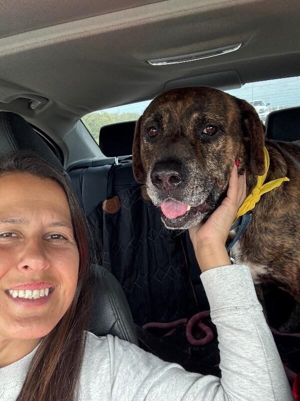 Uncle Joe Steady Eddie