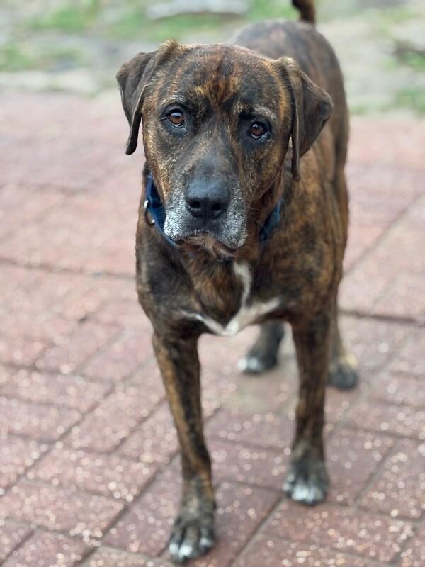 Uncle Joe Steady Eddie — thumbnail 4