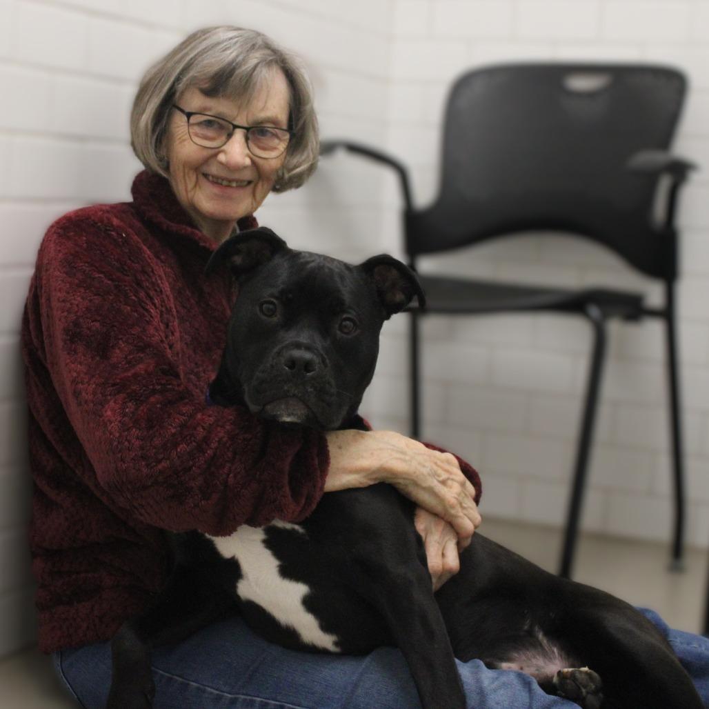 Enlarge Christian, a Adoptable mixed breed in Champaign, IL image 6/6