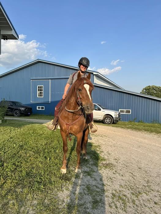 Enlarge Champ ATFO 2026 Platinum Candidate, a Adoptable Grade in Huntington, WV image 6/6