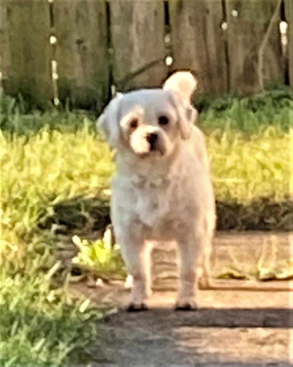 Girlfriend thumbnail 3