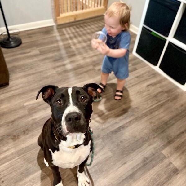 Buddy Your Best Pal — thumbnail 3