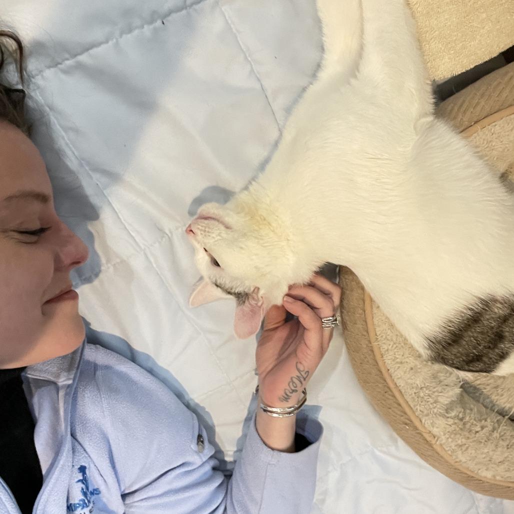 Woodrow a.k.a. Woody — thumbnail 3