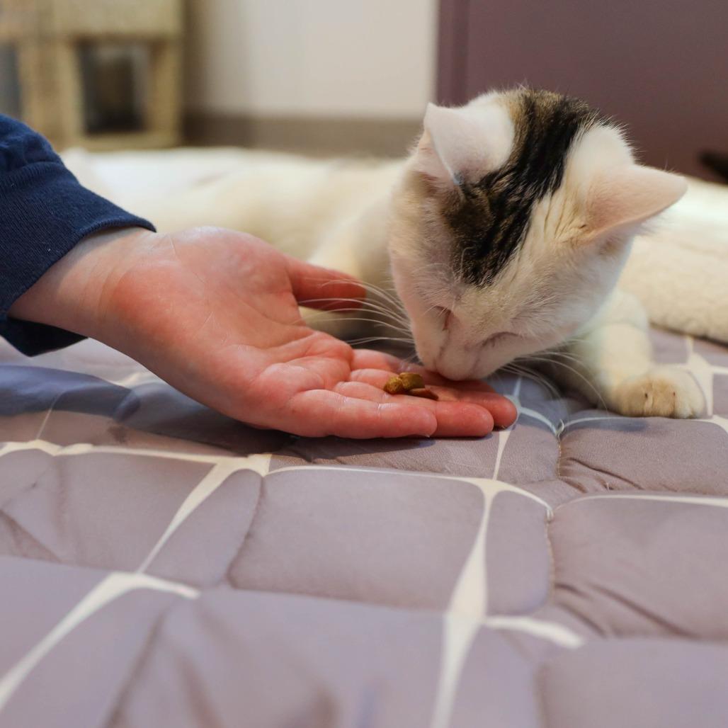 Woodrow a.k.a. Woody — thumbnail 4