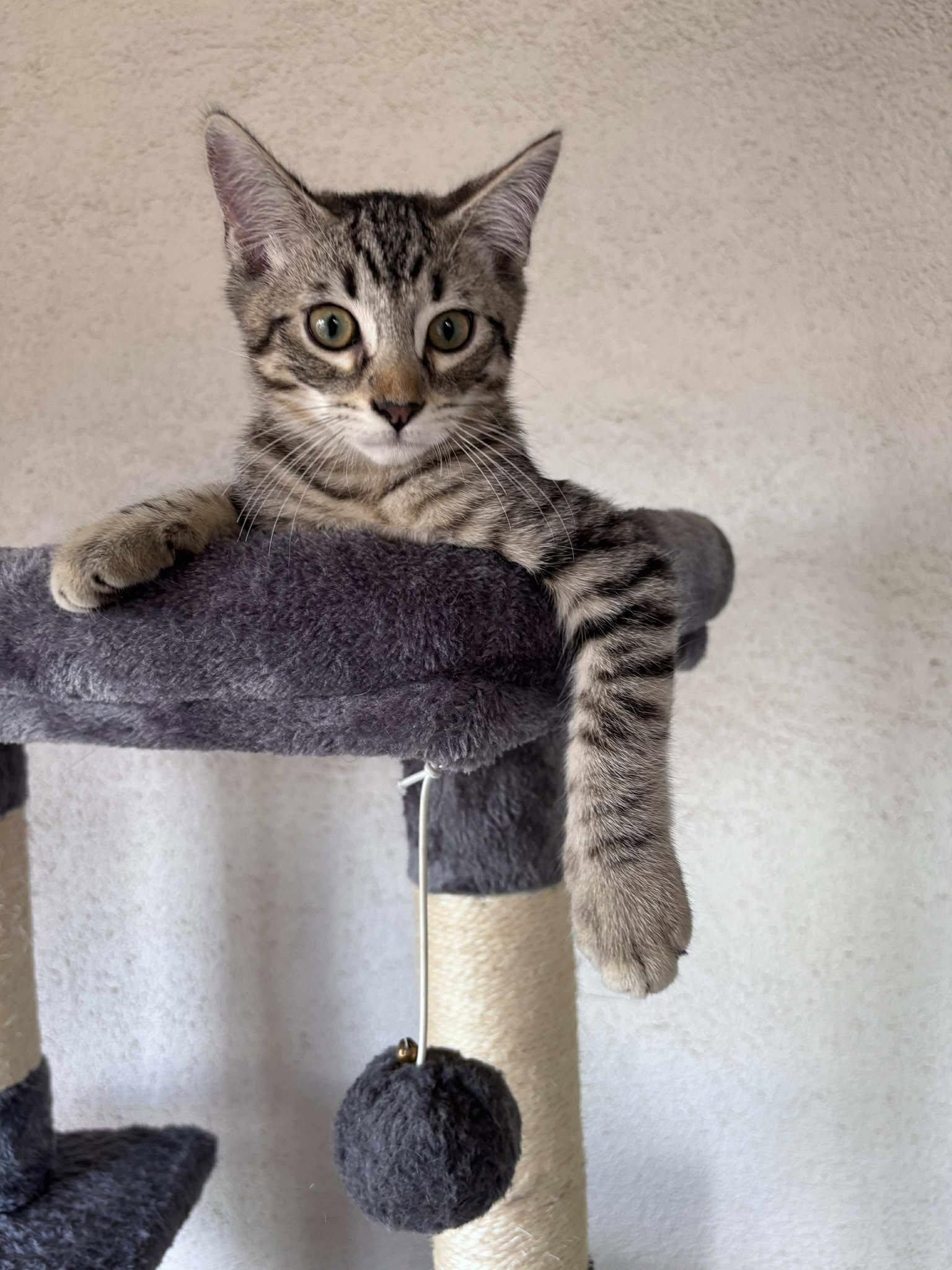 Planet Kindle - Mars