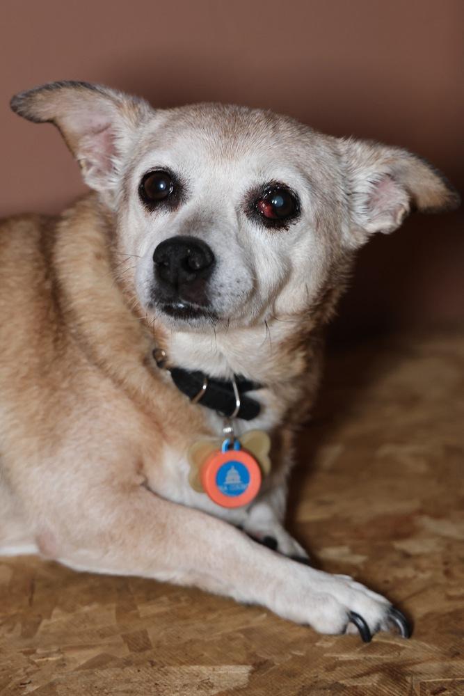Maya