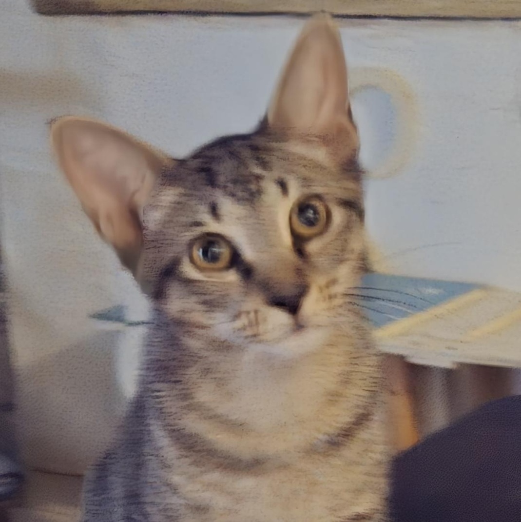 Hang Ten thumbnail 3