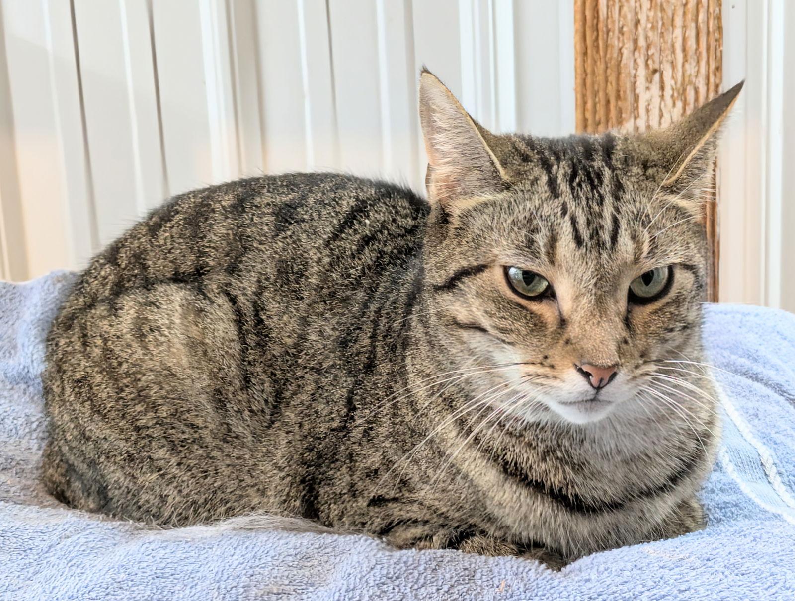 Destiny — thumbnail 3