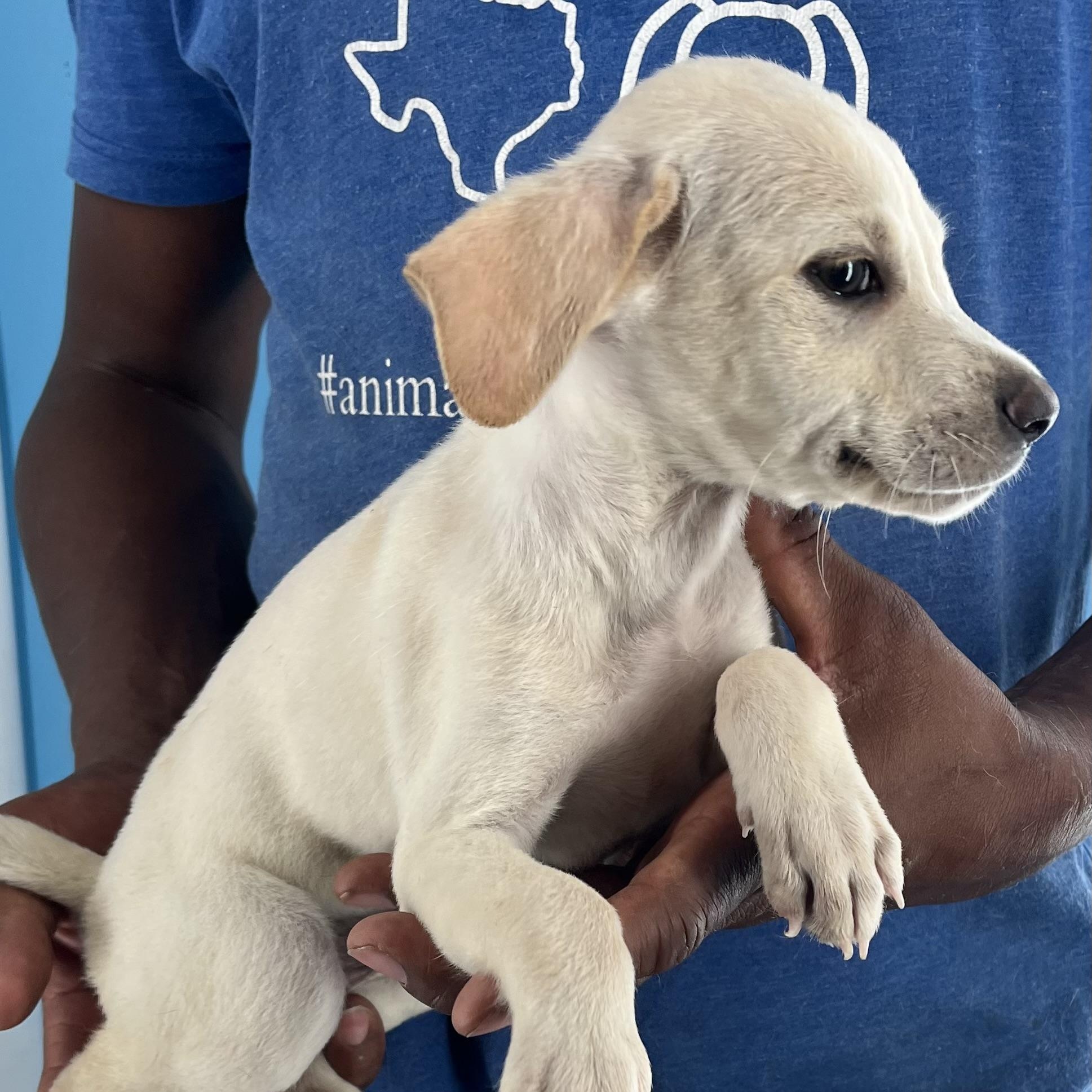 Dodge - Local Sept 26-28