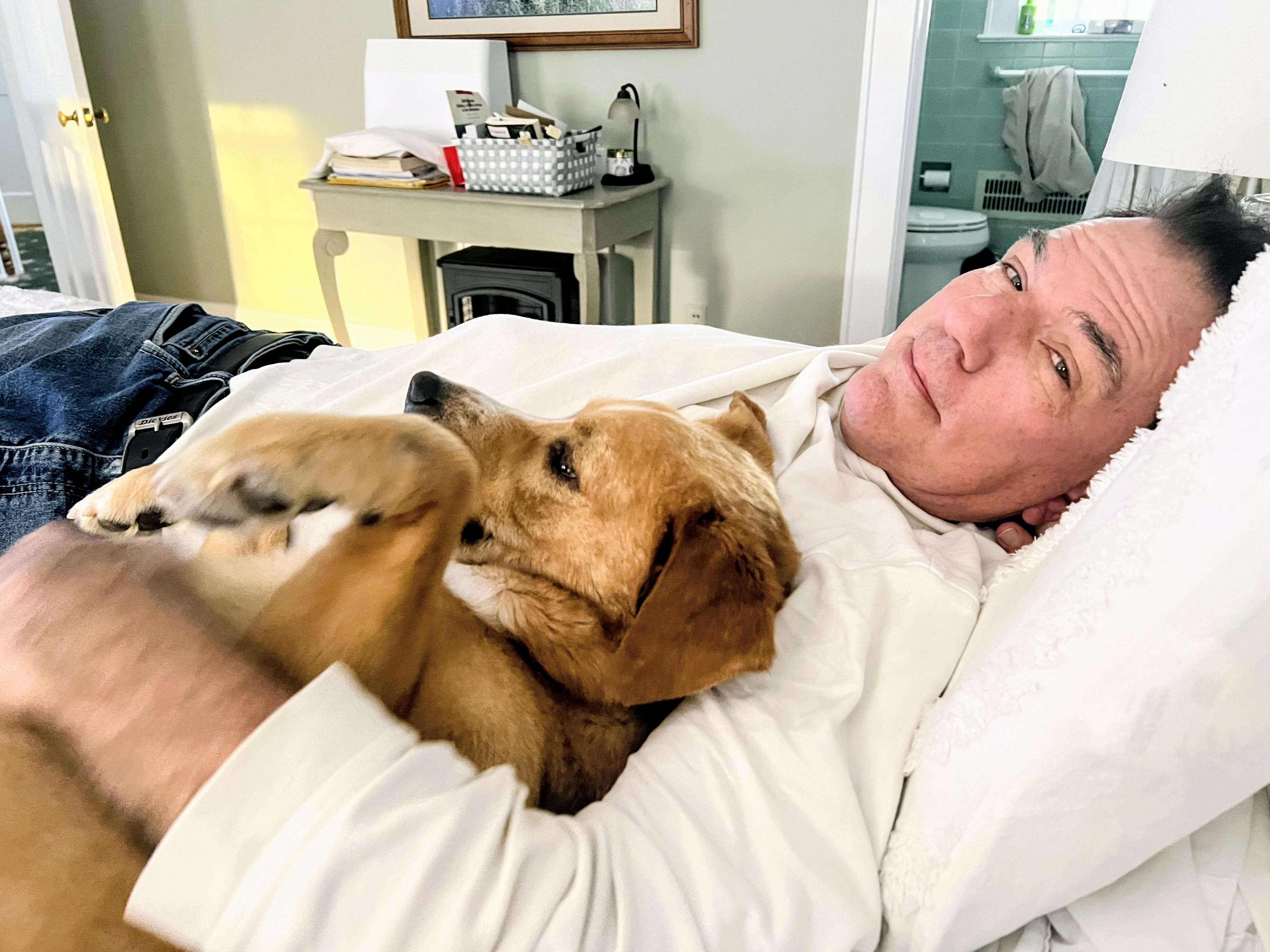 Enlarge Aspen - In NJ, a Adoptable mixed breed in Willington, CT image 5/6