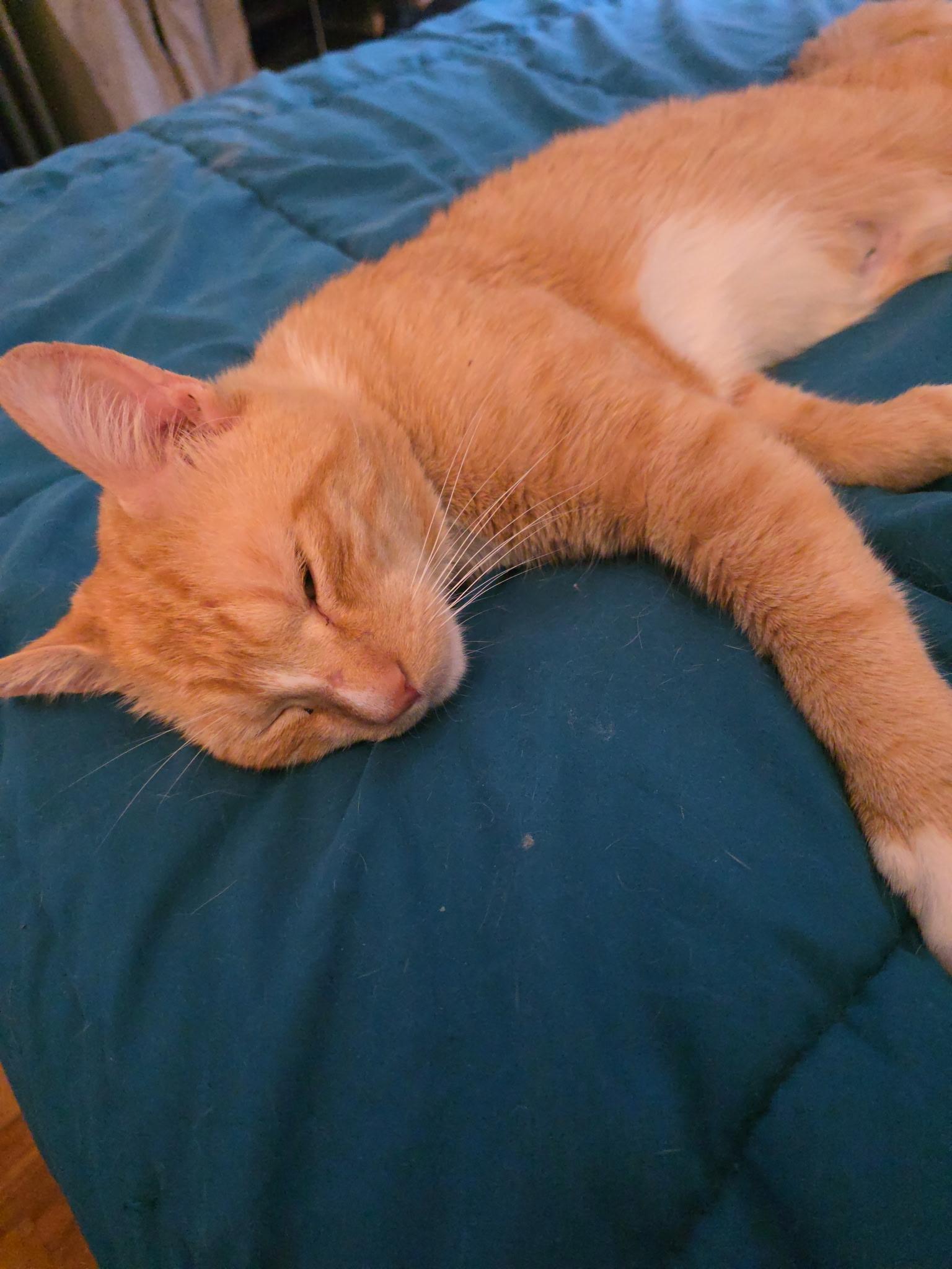 Dante photo 5