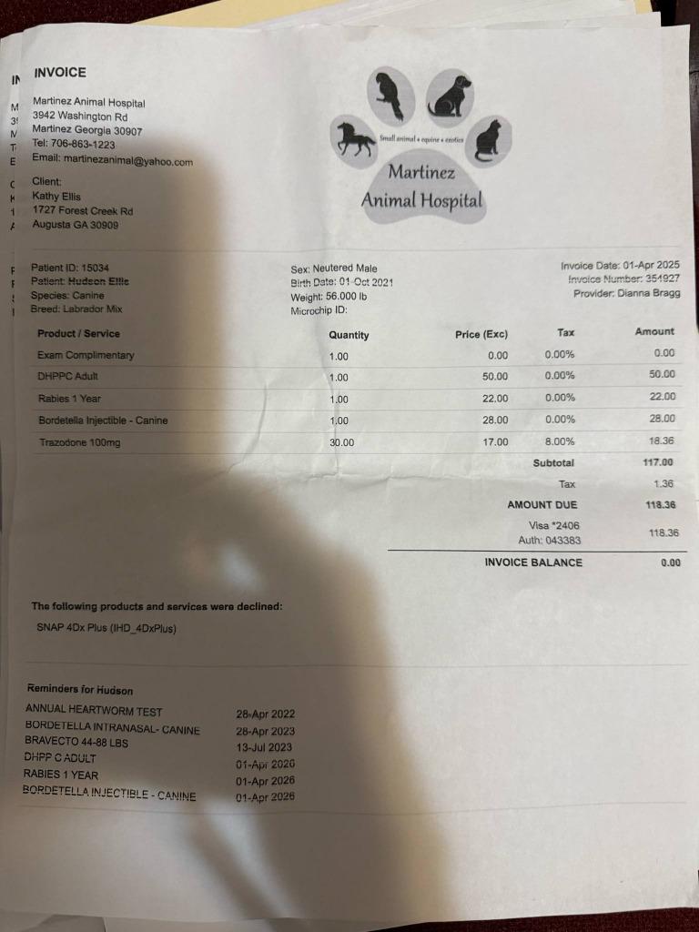 Hudson, a Adoptable mixed breed in Augusta, GA image 2/4