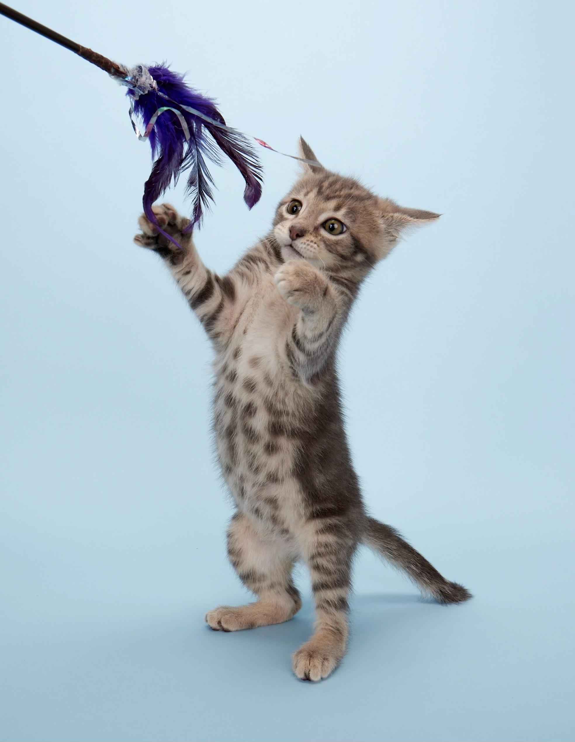 Artemis (Apollo’s sister) - Coming Soon!