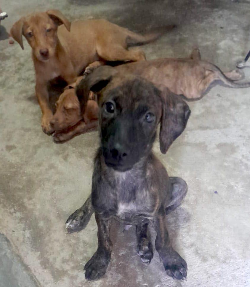 Tokio — thumbnail 4