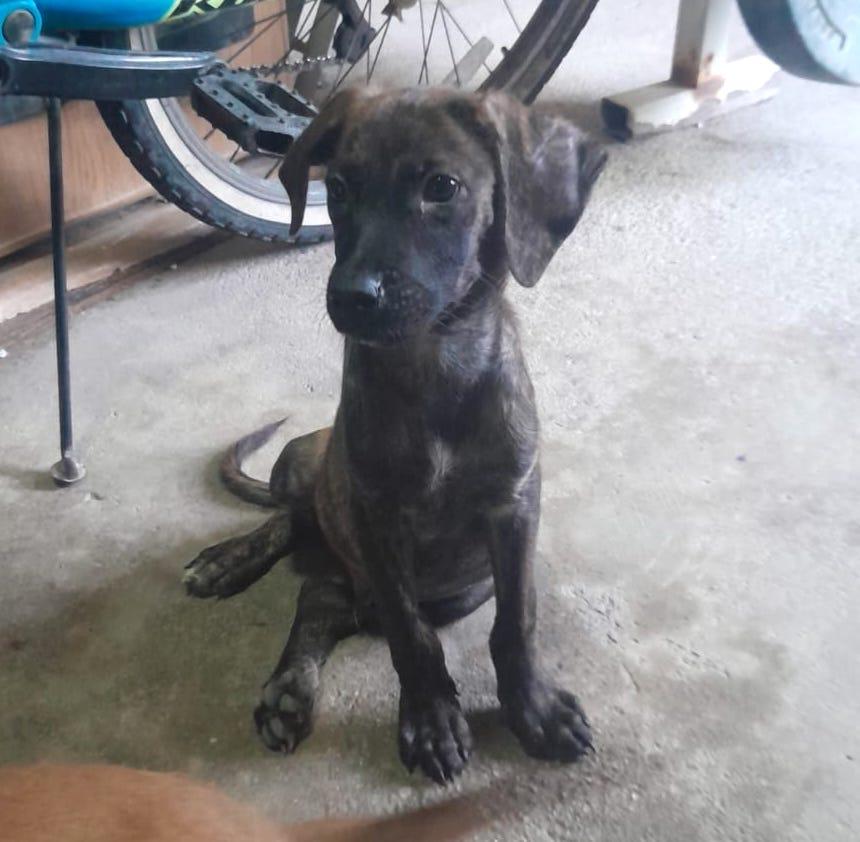 Tokio — thumbnail 5