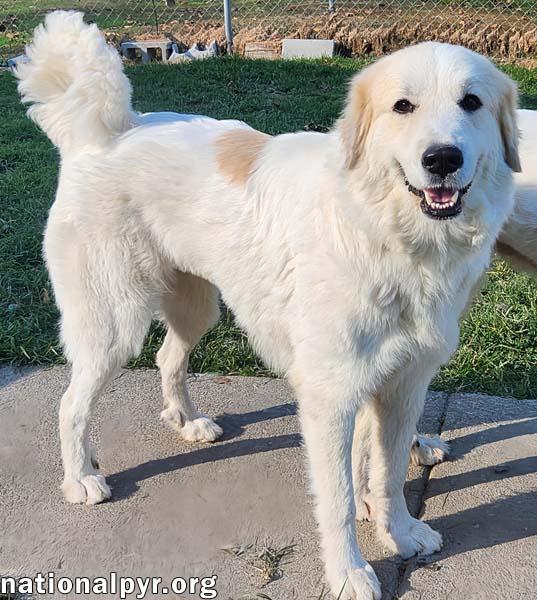 Precious in KY - Super Sweetie!