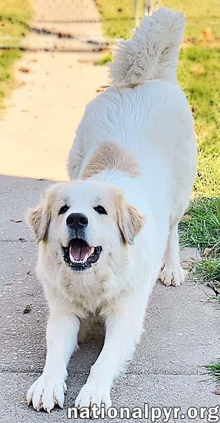 Precious in KY - Super Sweetie!