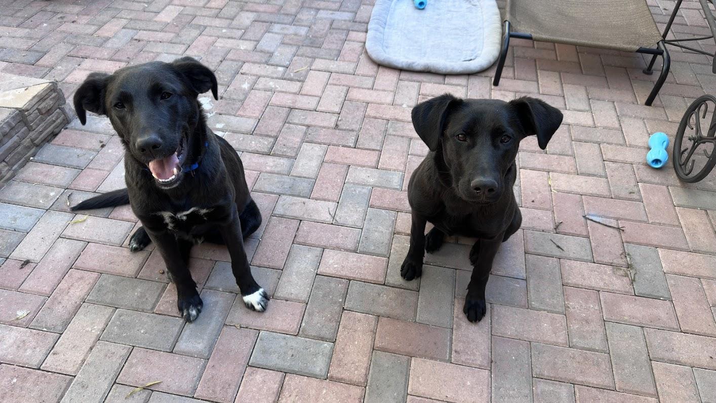 Max And Lucy thumbnail 2