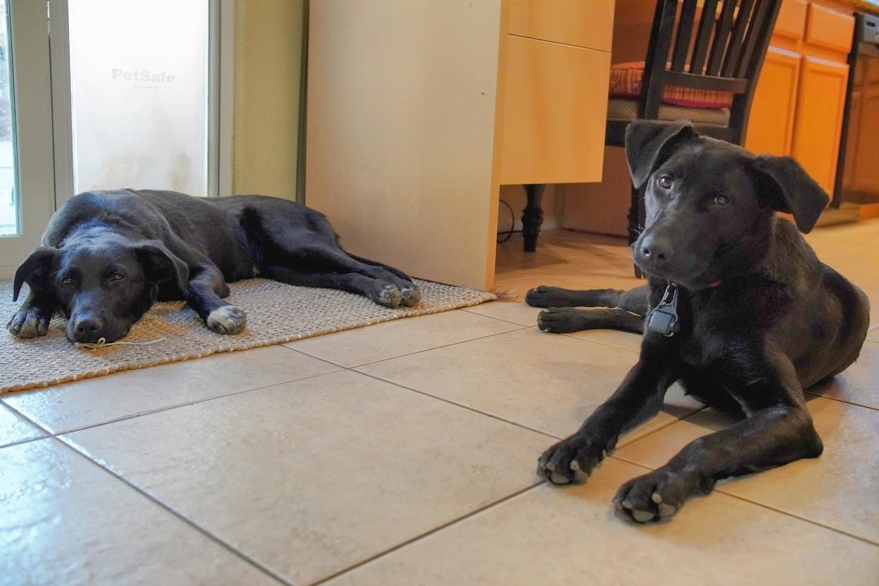 Max And Lucy thumbnail 3
