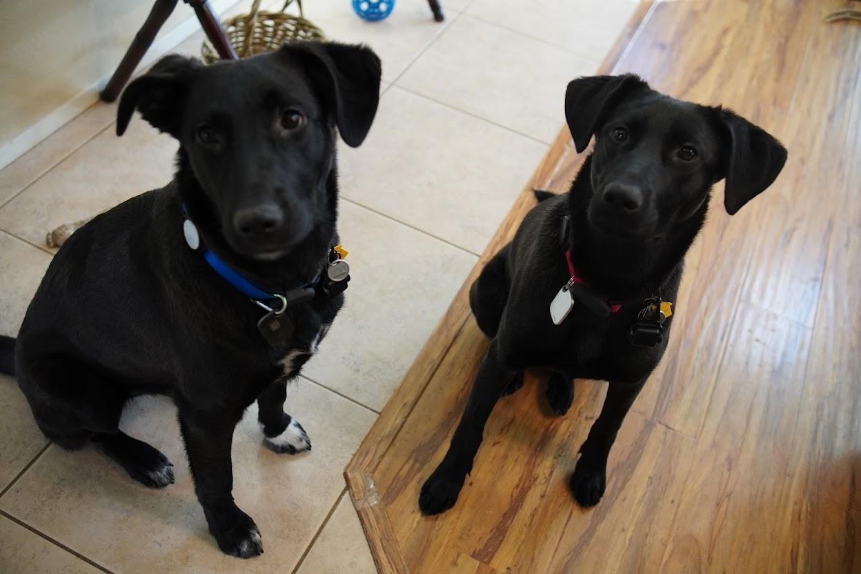 Max And Lucy photo 1