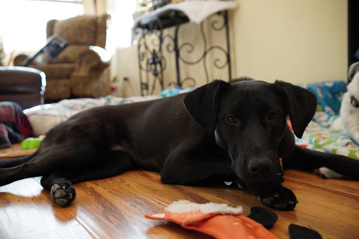 Max And Lucy thumbnail 4