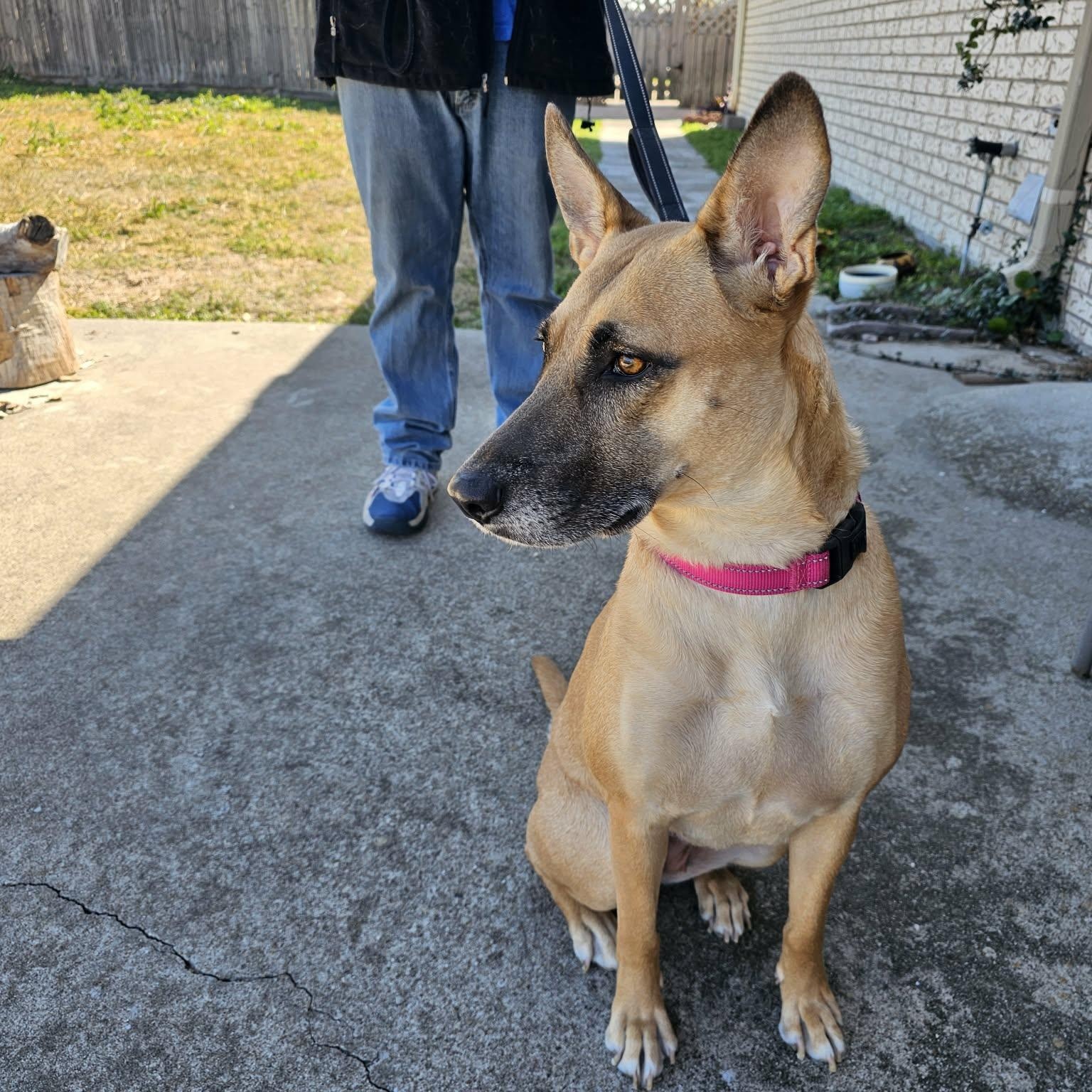 Vicky - The Best Hugger — thumbnail 4