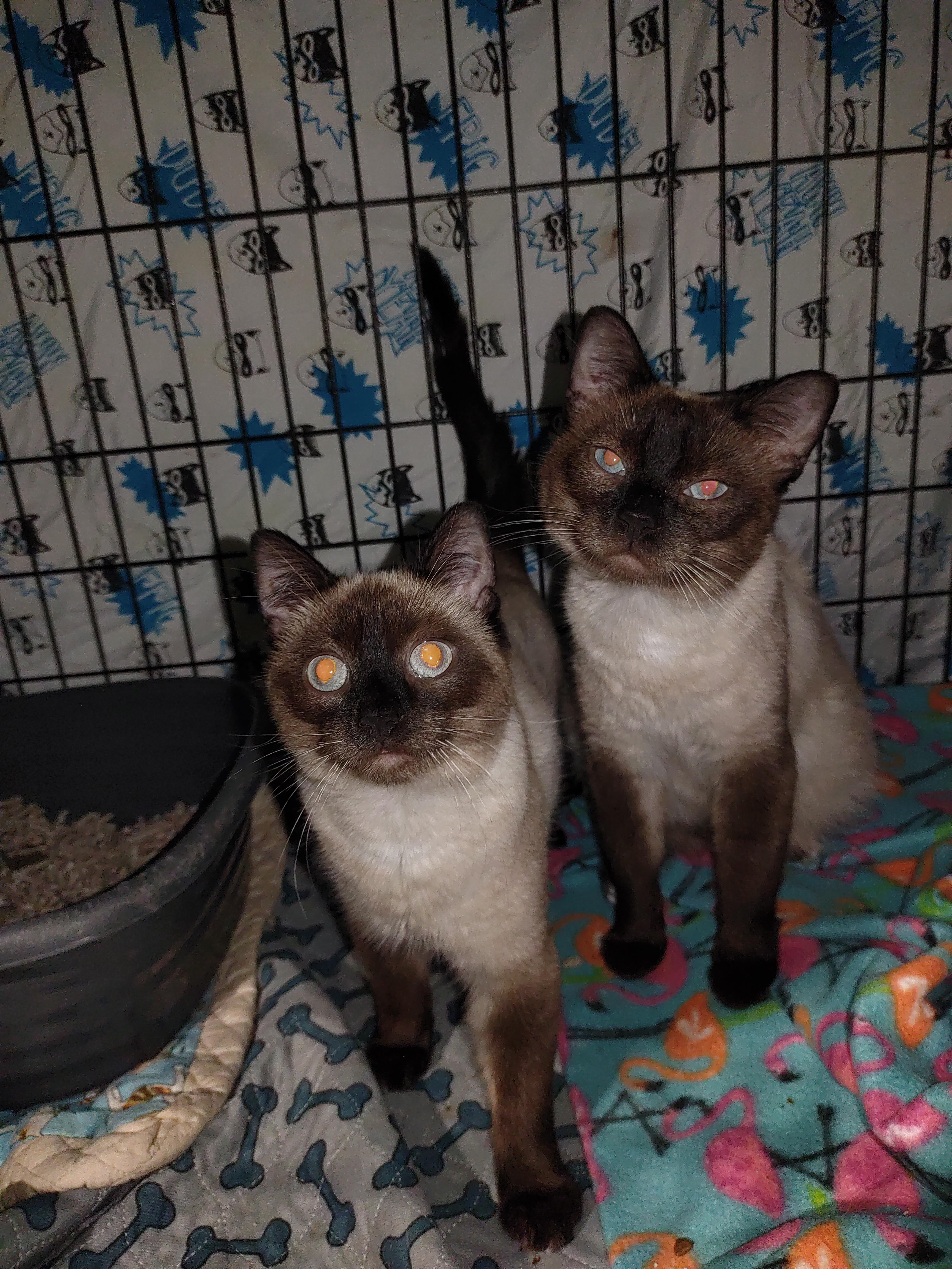 Riley and Remington