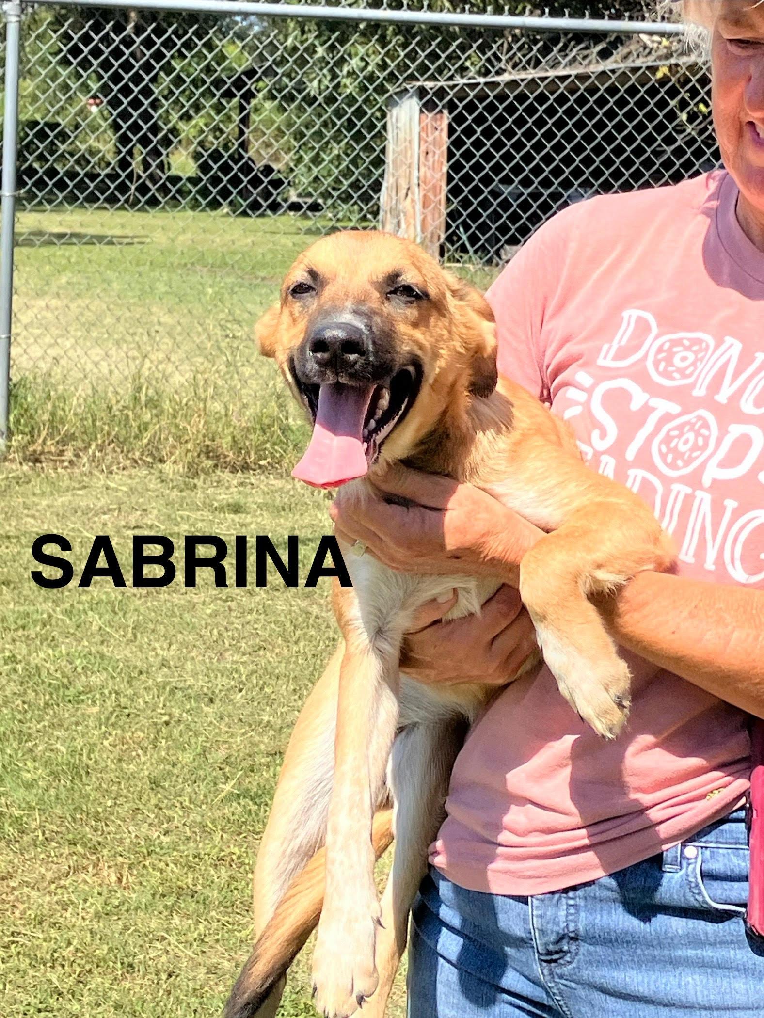SABRINA-Sweet and Silly