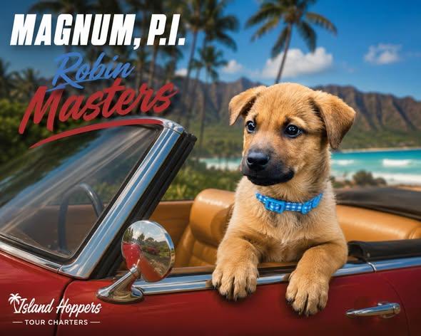 Robin Masters, a ADOPTABLE Mixed Breed in Winchester, KY image 3/5