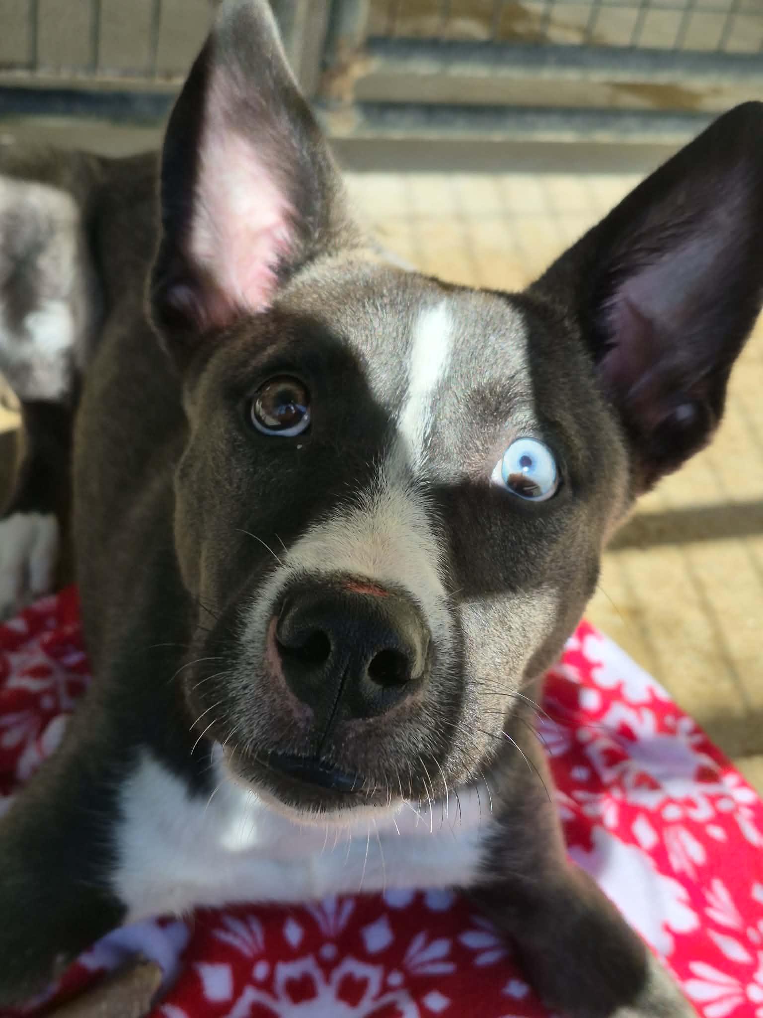 Marsha — thumbnail 2