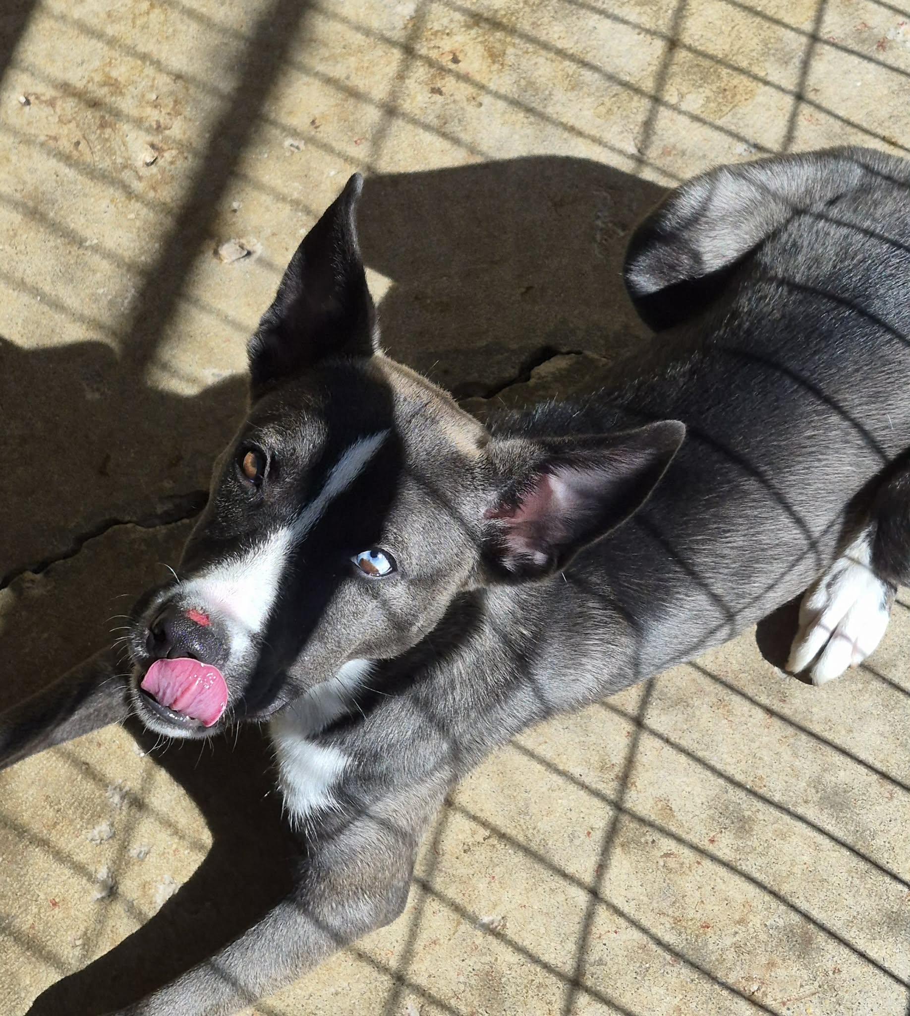 Marsha — thumbnail 3