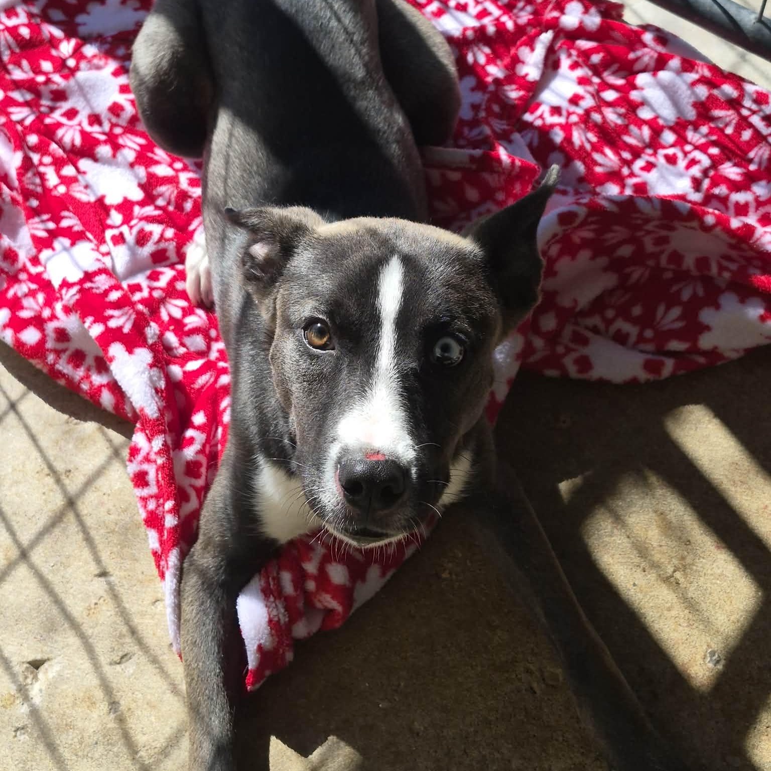 Marsha — thumbnail 5