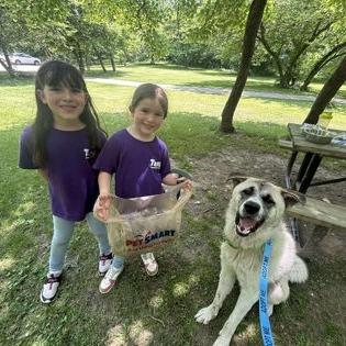 Enlarge Pelican, a Adoptable Mixed Breed in DeKalb, IL image 1/3