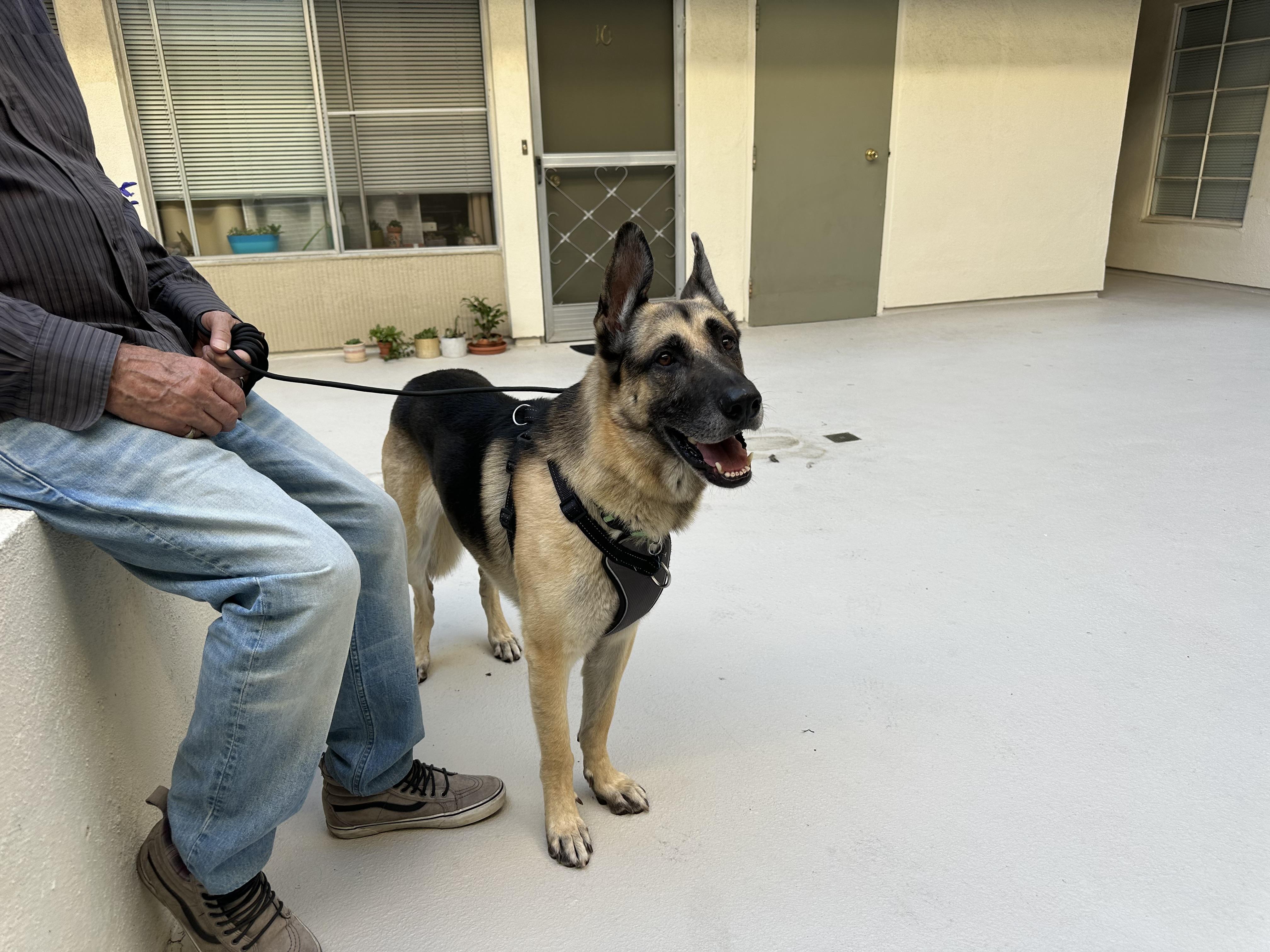 JONNY - the smart one.