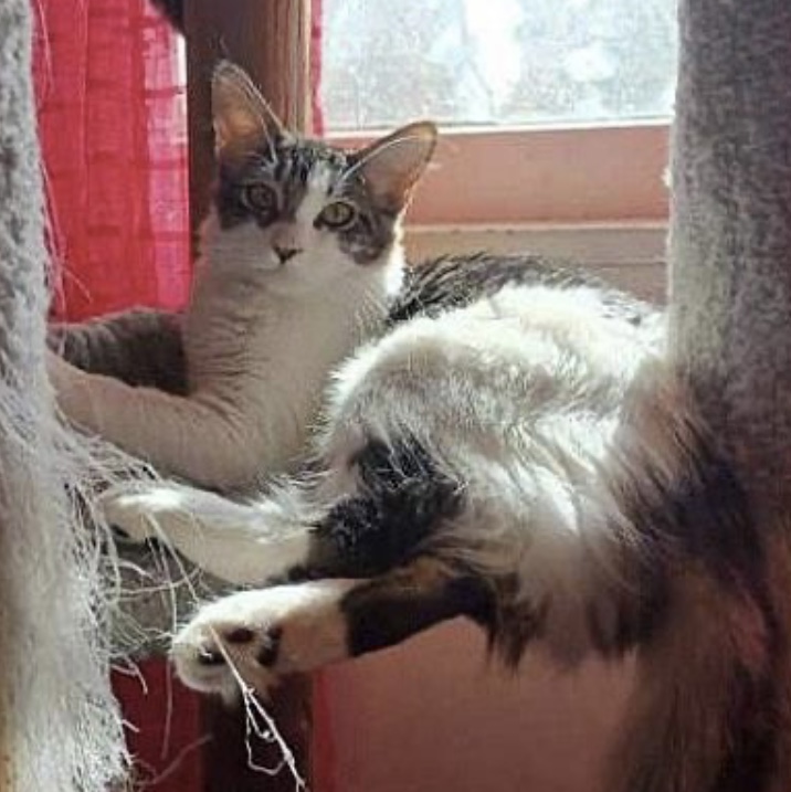 Sashimi — thumbnail 5