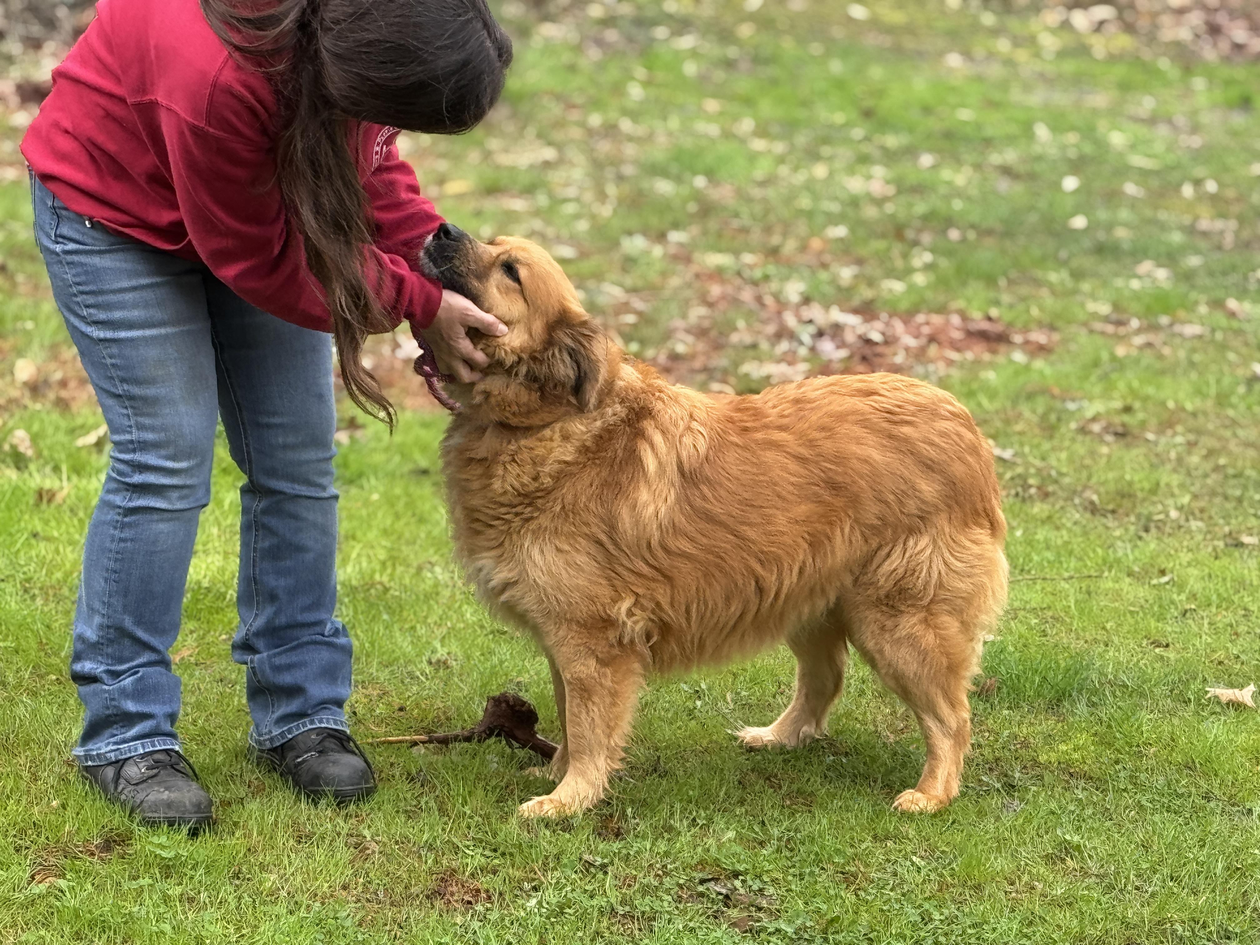 Enlarge Cleo, a ADOPTABLE mixed breed in Richmond, VA image 5/6