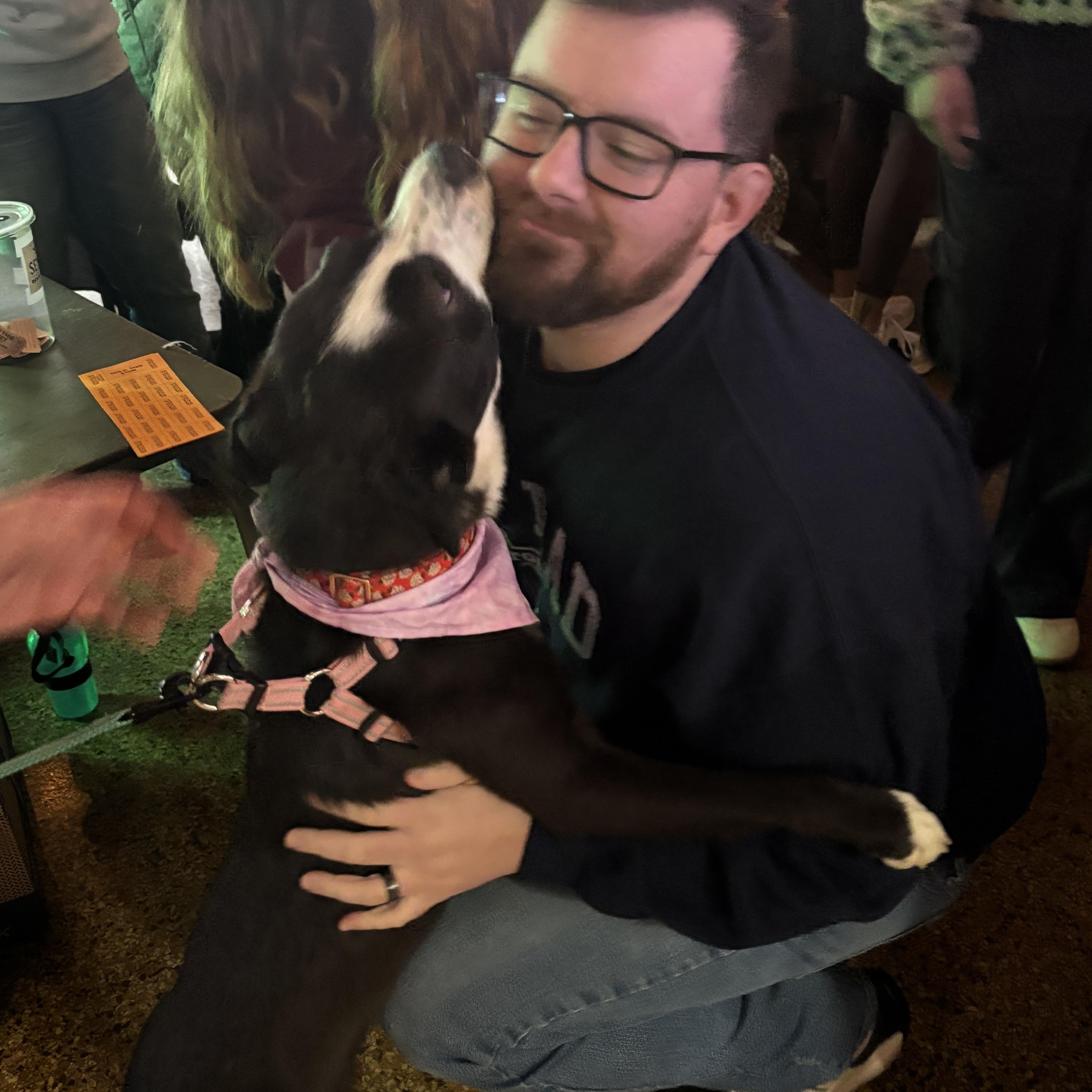 Enlarge Velvet , a ADOPTABLE mixed breed in Youngstown, OH image 5/6