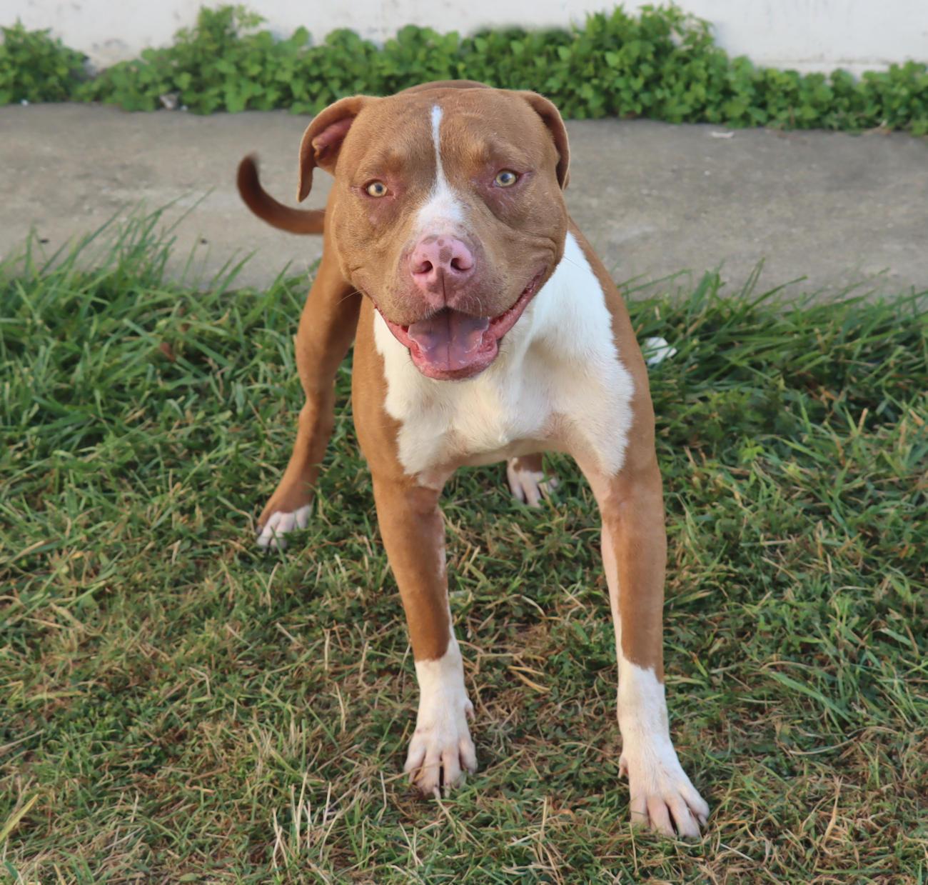 Kevin — thumbnail 2