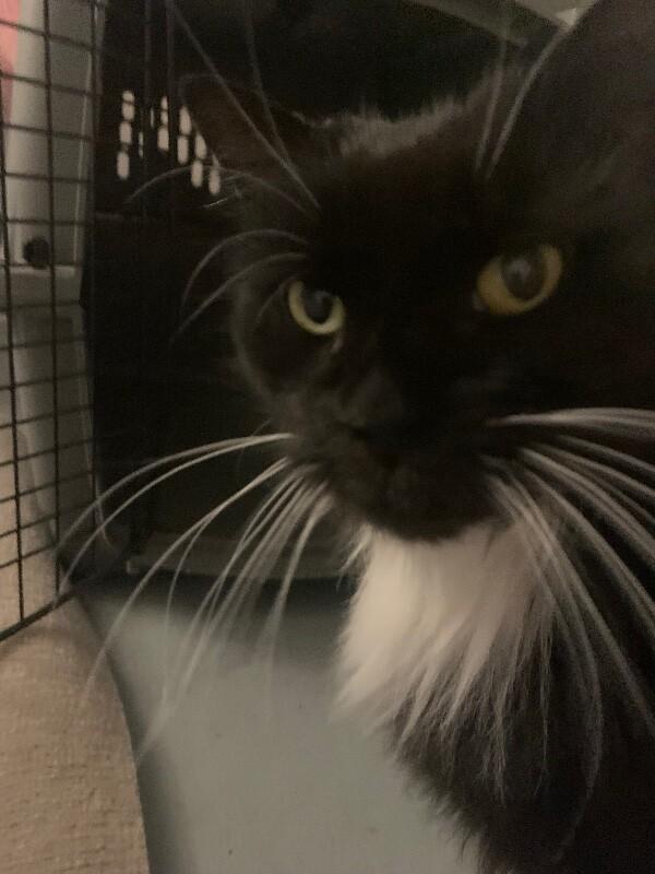 Lily — thumbnail 3