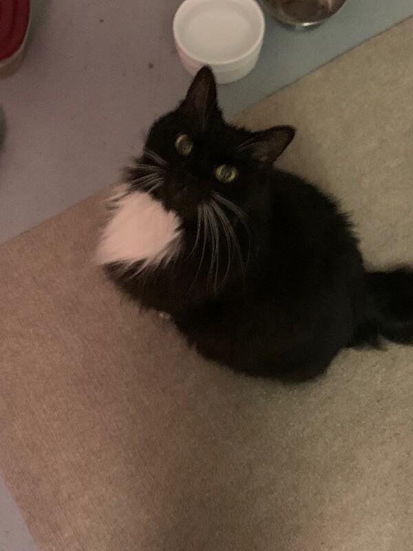 Lily — thumbnail 4