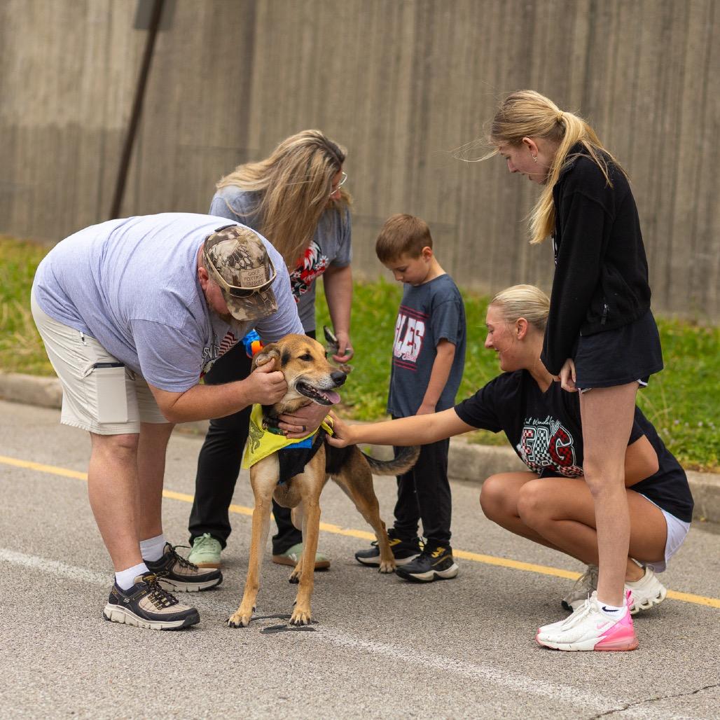Enlarge Pennie, a Adoptable mixed breed in Evansville, IN image 6/6