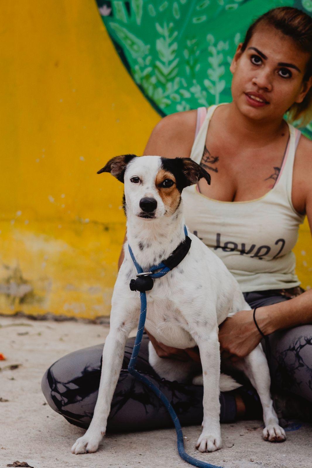 Enlarge Samsura, a ADOPTABLE mixed breed in New York, NY image 2/6