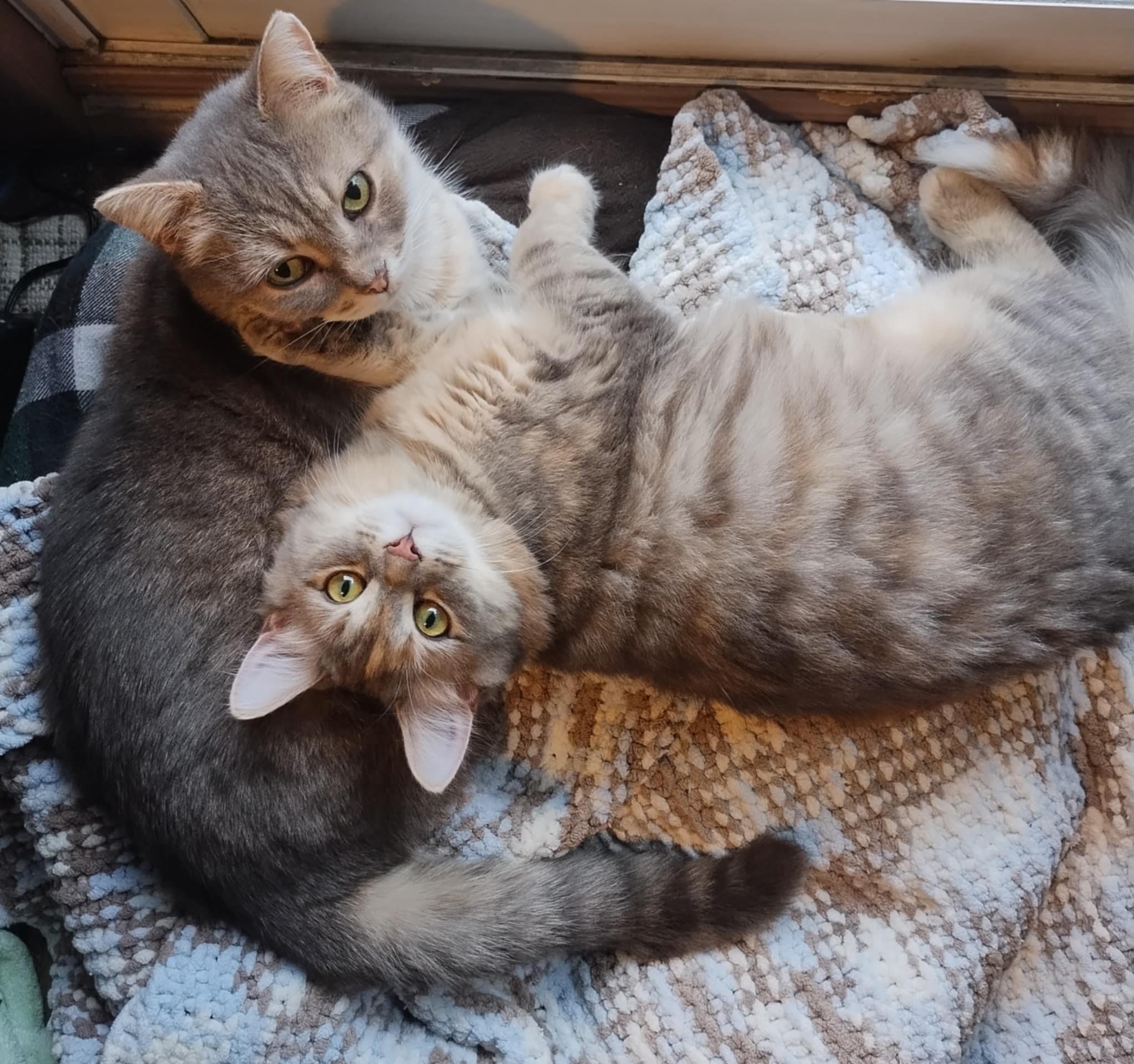 Mia and Mini