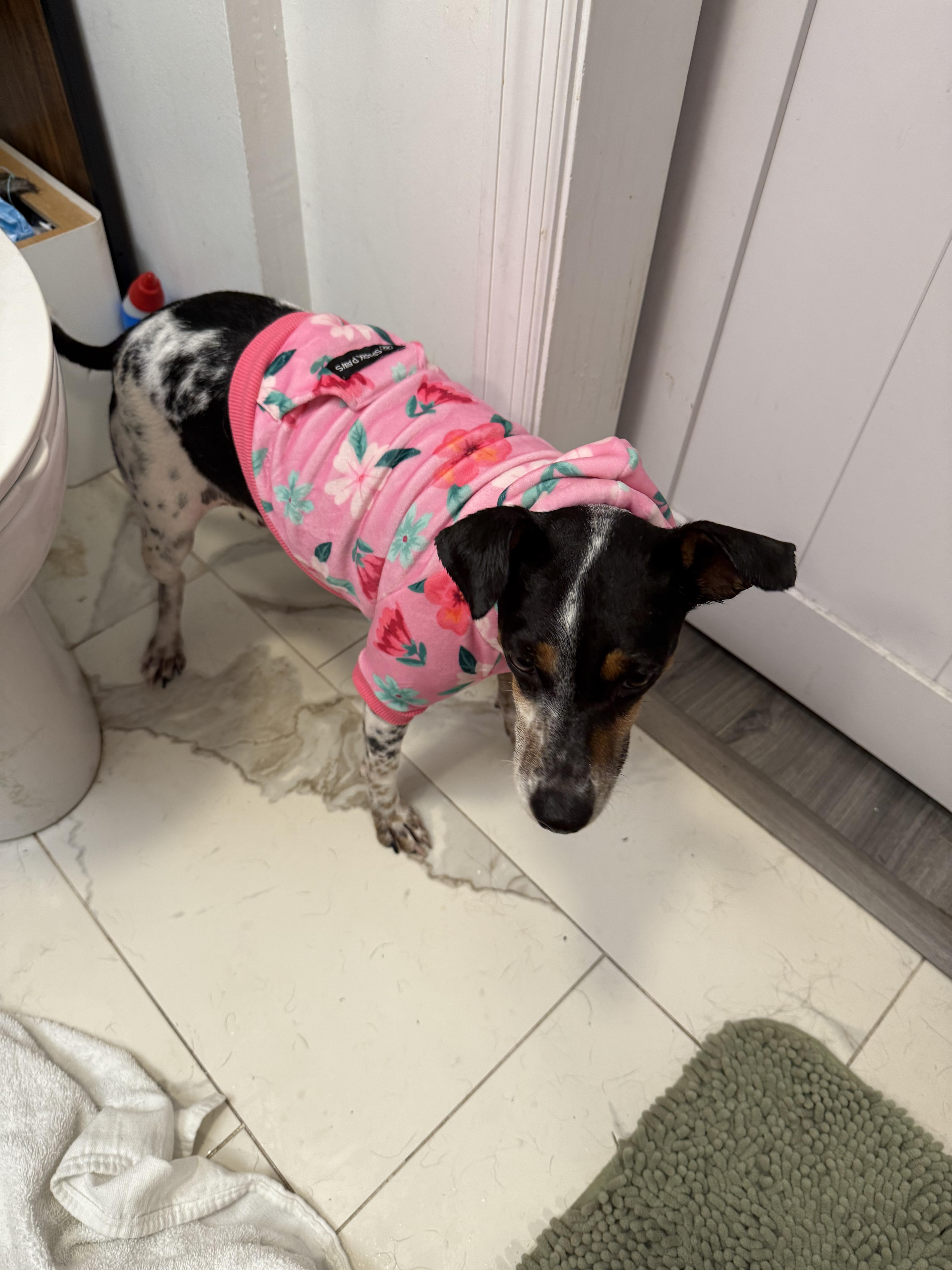 Sunshine thumbnail 3