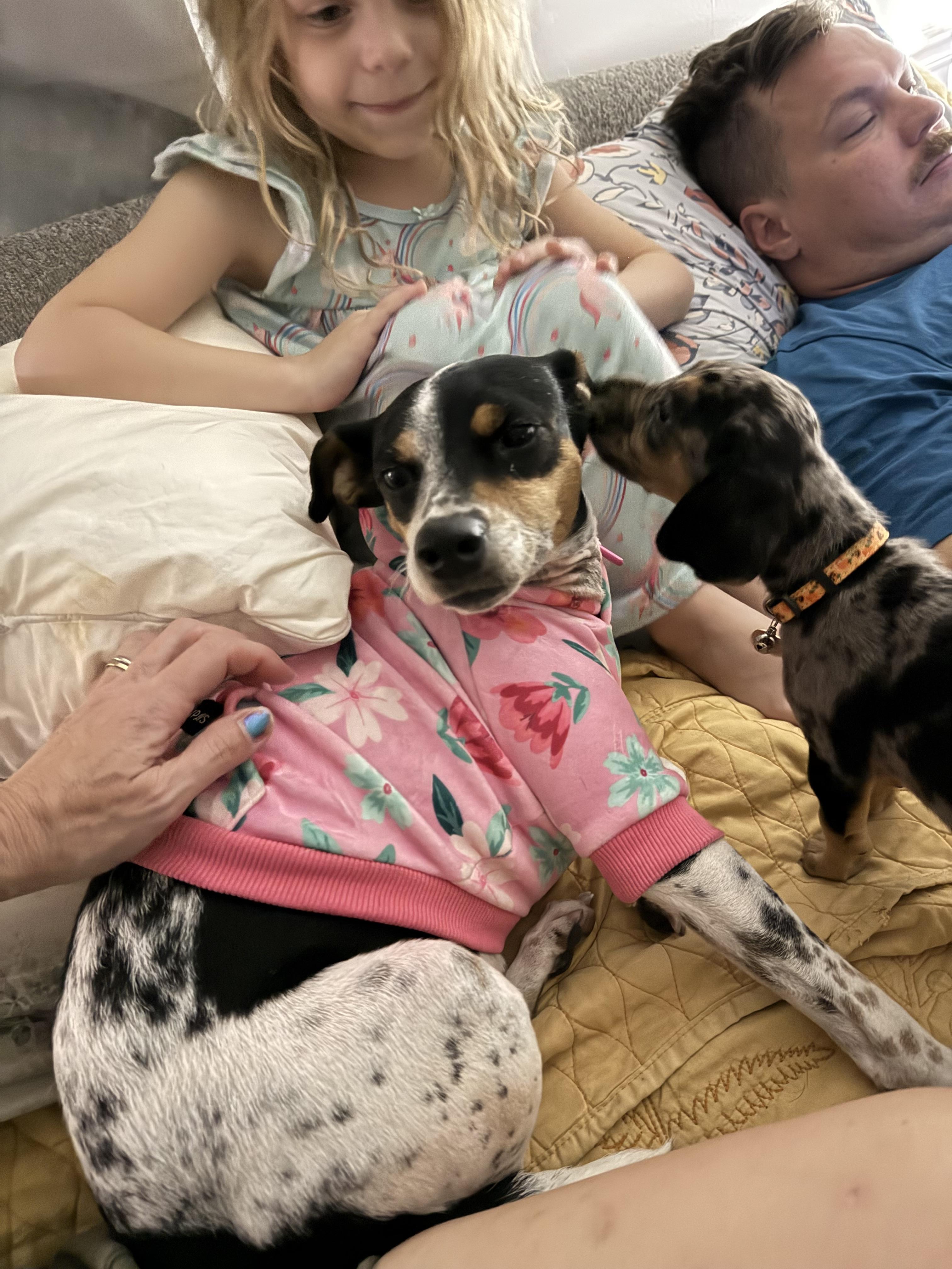 Sunshine thumbnail 2