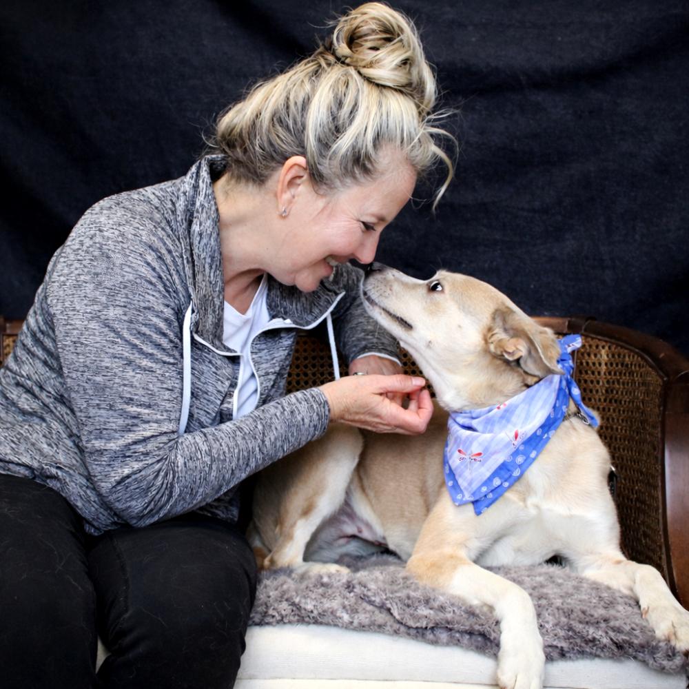 Enlarge Luna, an adopted mixed breed in Cheboygan, MI image 4/6