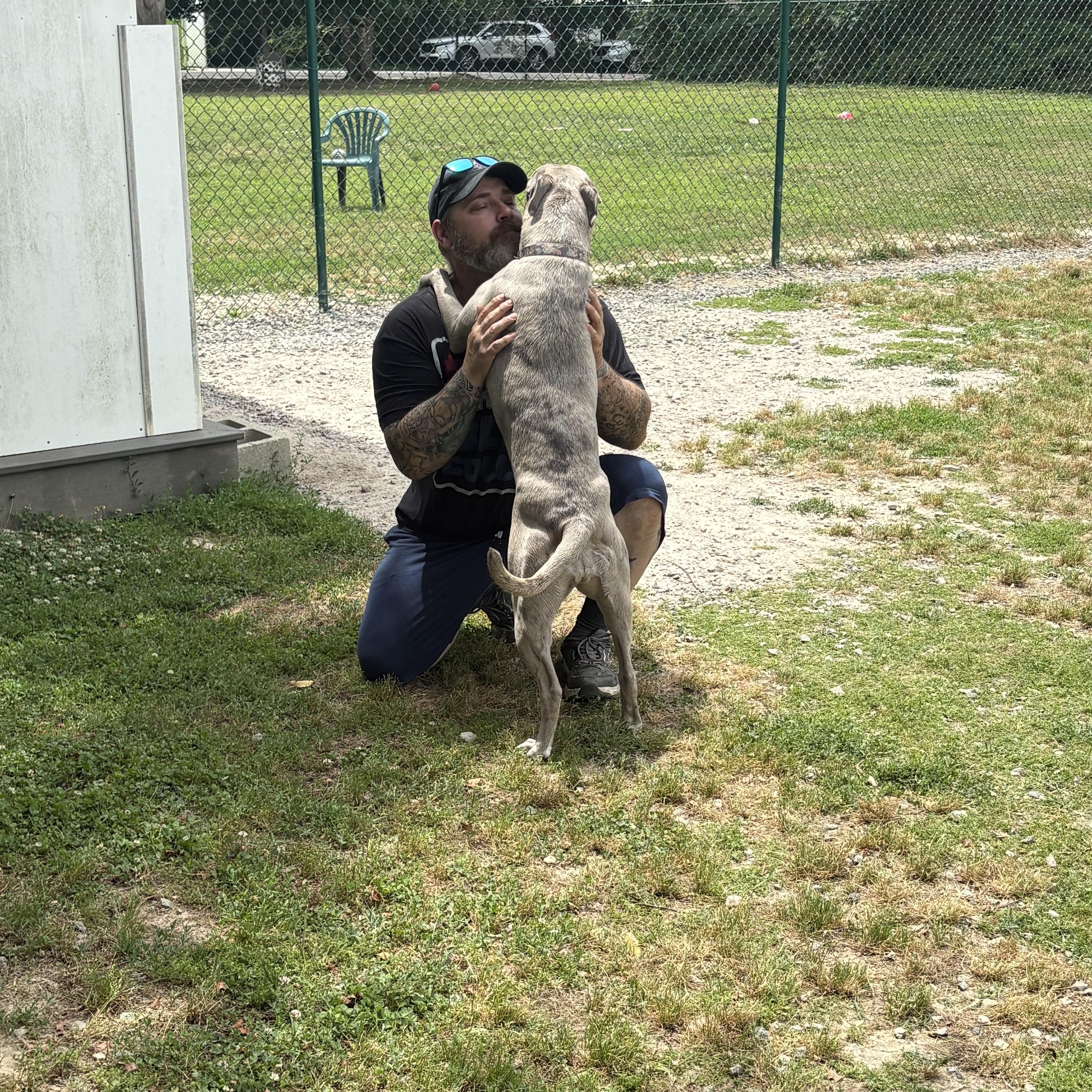 Enlarge Scarlett, a Adoptable mixed breed in Saluda, VA image 6/6