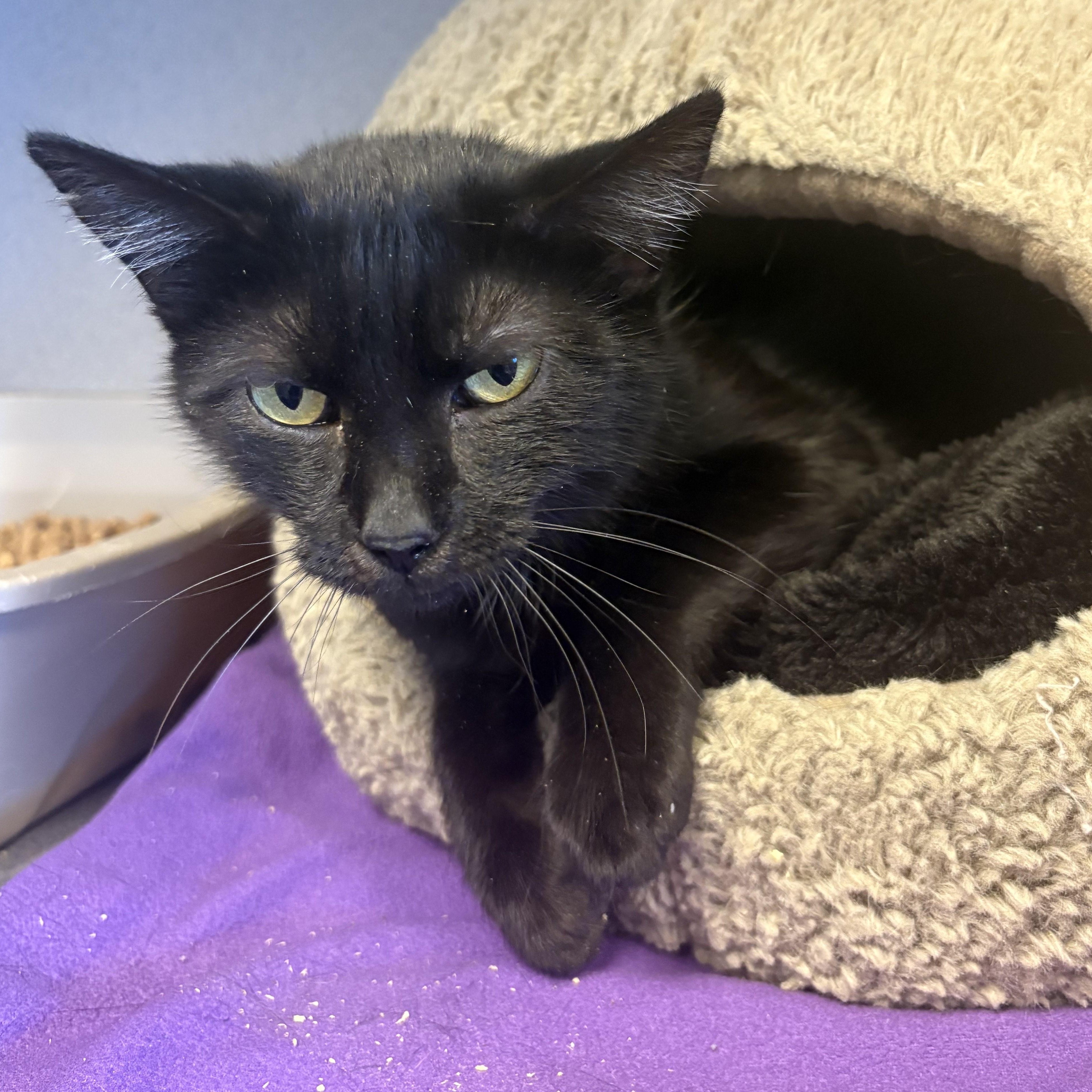 Mama Mia — thumbnail 2