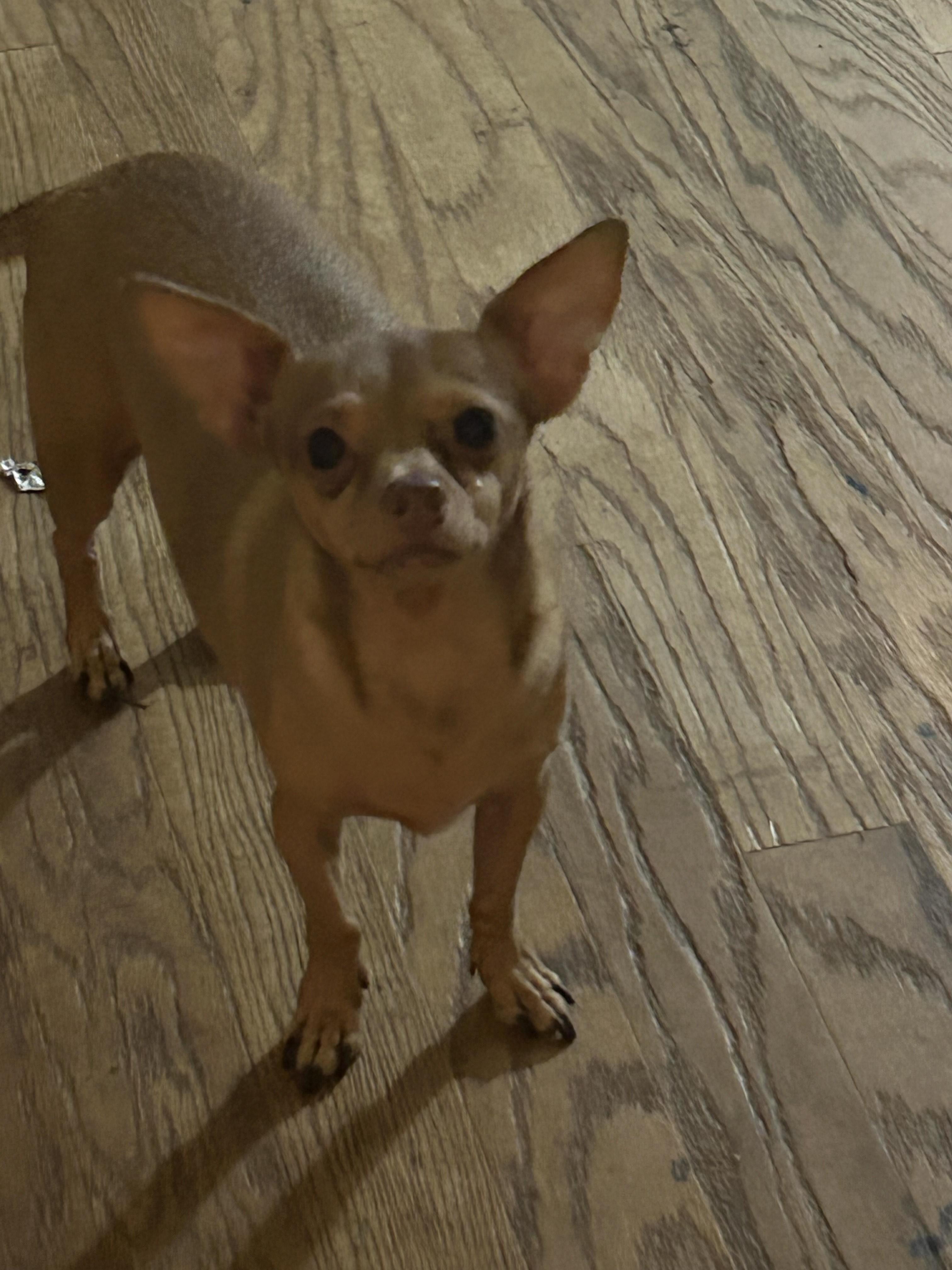 Little Bill thumbnail 2